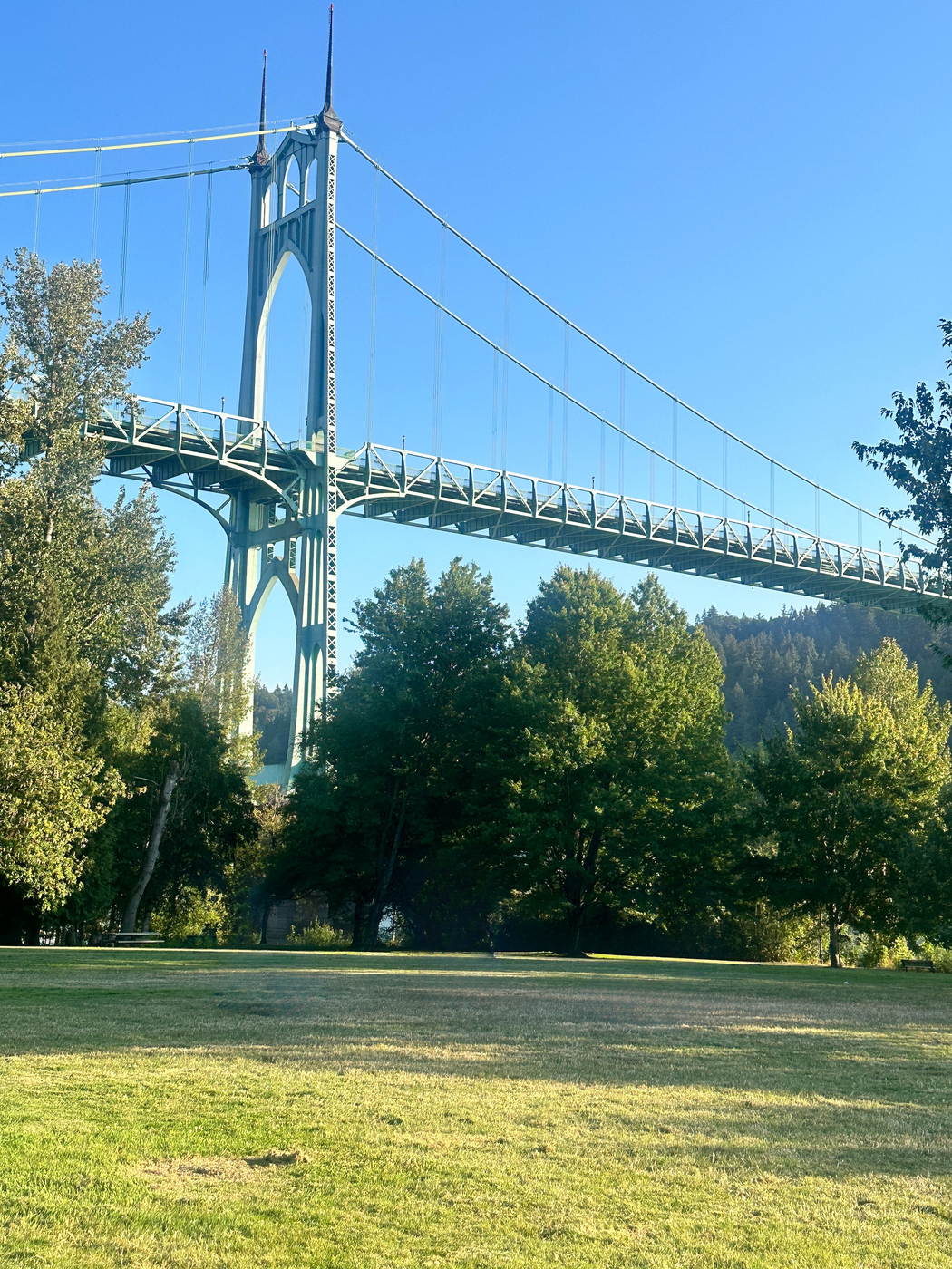 The open lawn at Cathedral Park with the St. Johns Bridge tower rising above the trees